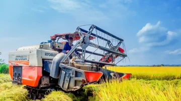 تراجع طفيف في أسعار الأرز الطازج مع استقرار تكلفة النوع الخام